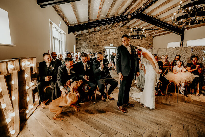 dog at stretton manor barn wedding