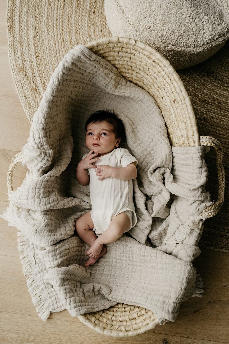 baby in een mozesmandje tijdens een newborn shoot