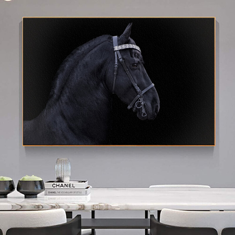 Professional Horse Portrait Black Background