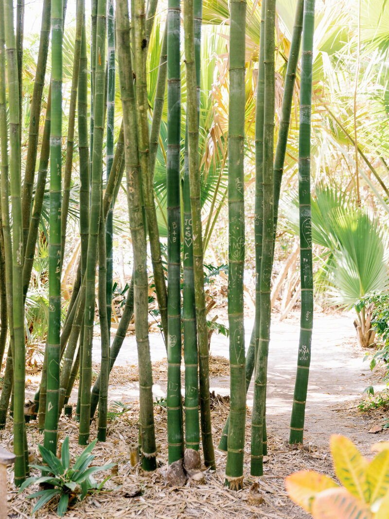 selby-gardens-wedding-julie-sumner-jake-ford-photography-nk-weddings_023