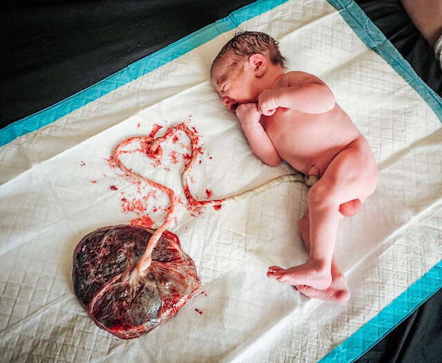 Placenta Baby heart