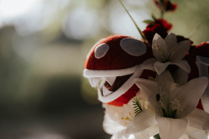 ashley-robis-nintendo-mario-pokemon-themed- wedding-11-4-2023-1-3