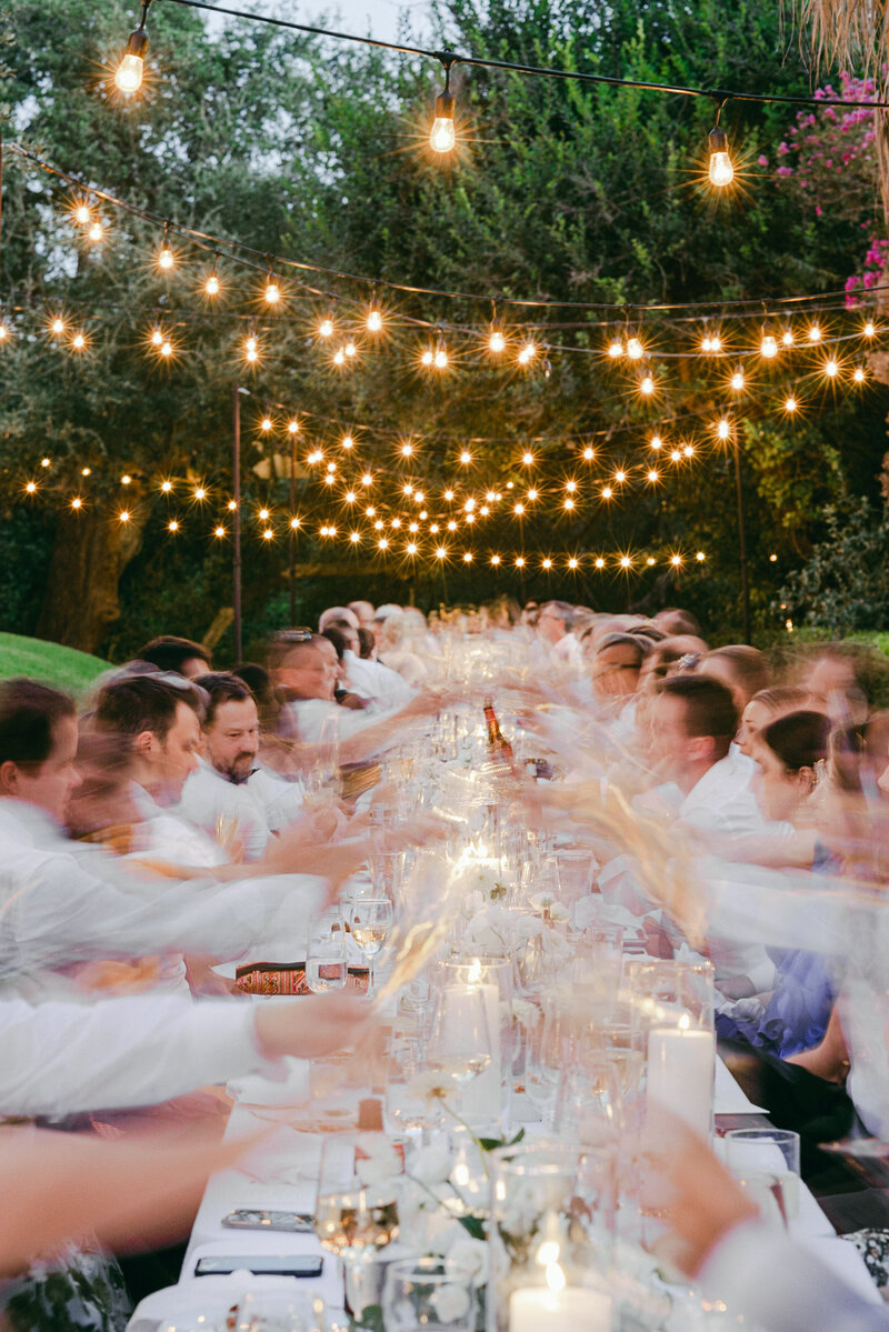 guests toasting at table outdoor reception wedding