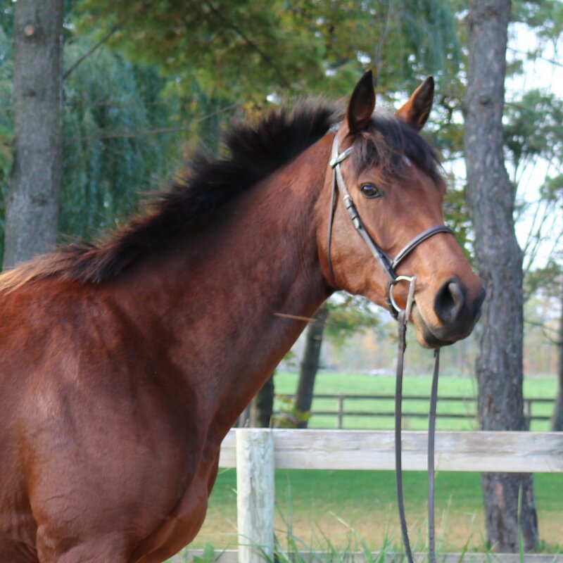 Arabella Confirmation shot 4 (2)