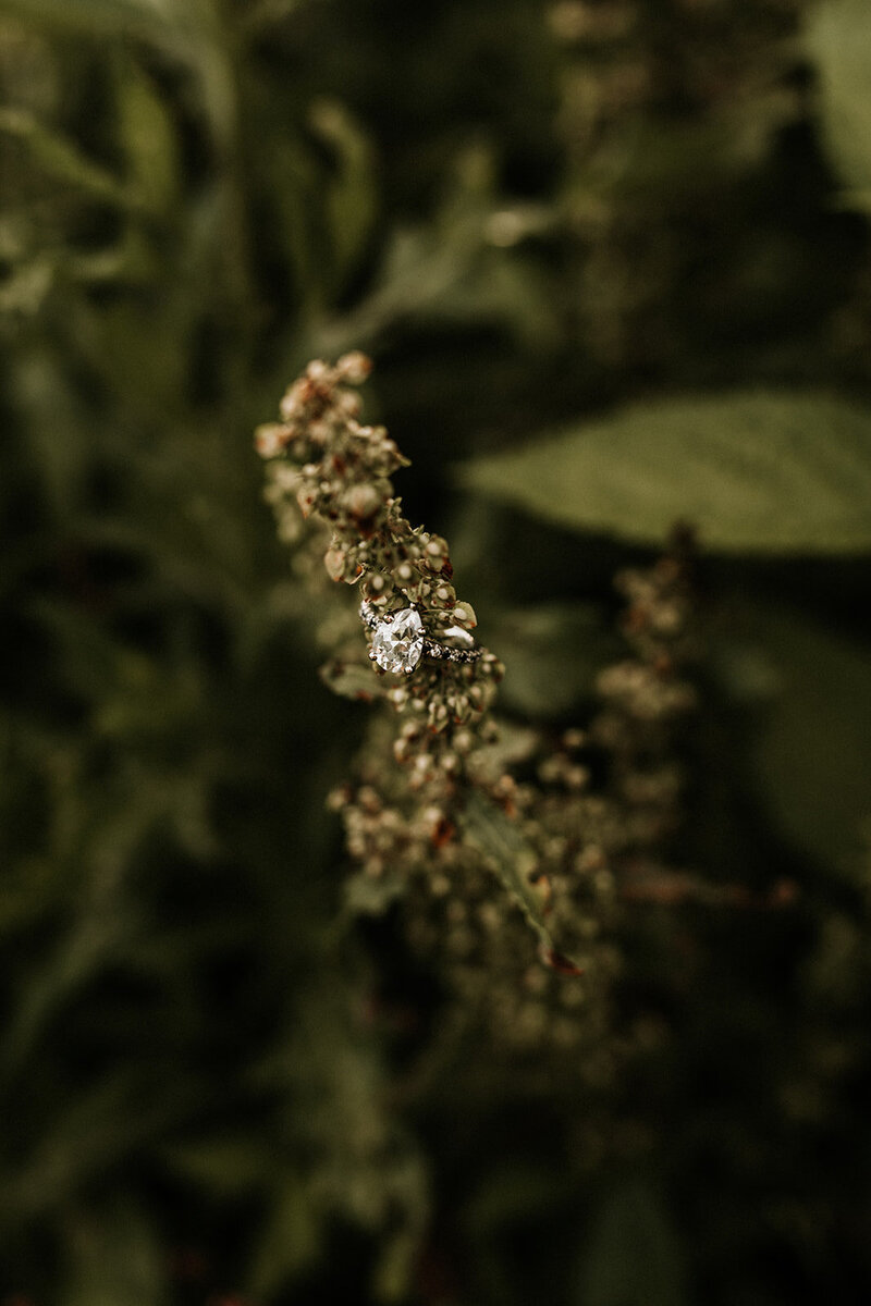 Sabrina_Sebastian_Engagement_6.21.18-40