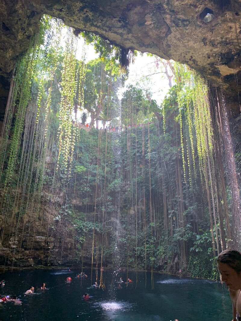 Mexico - Watering Hole