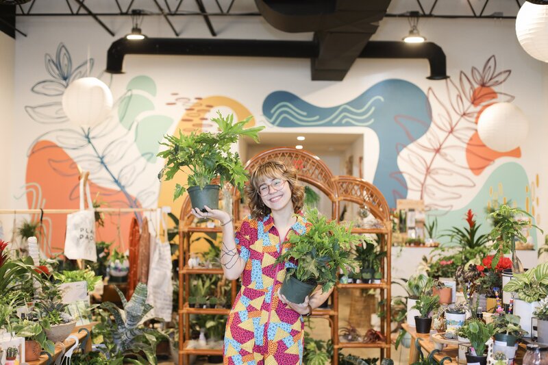 Colorful indoor plant retailer,House Plant Collective