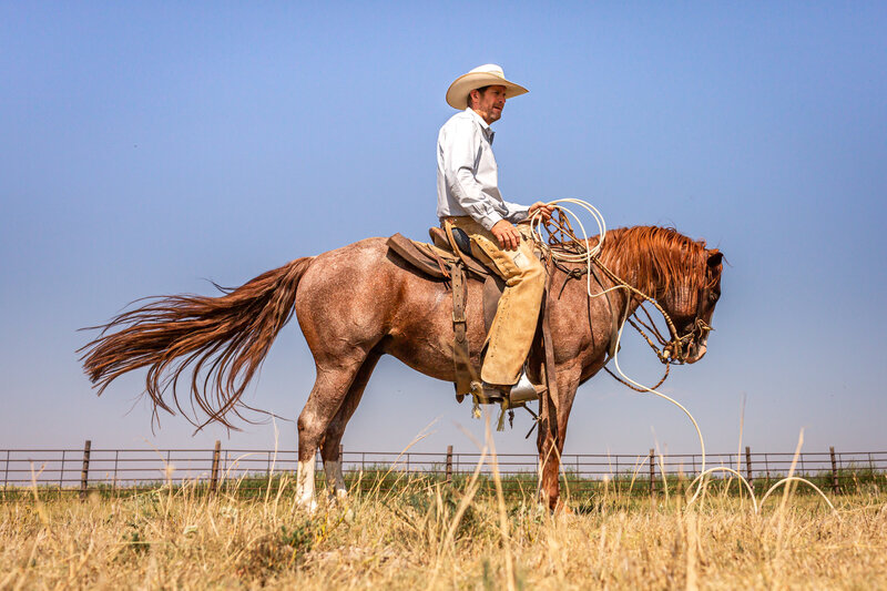 cowboy on roan horse in kansas field