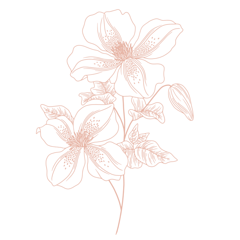 graphic art,  two flowers with their leaves and stems