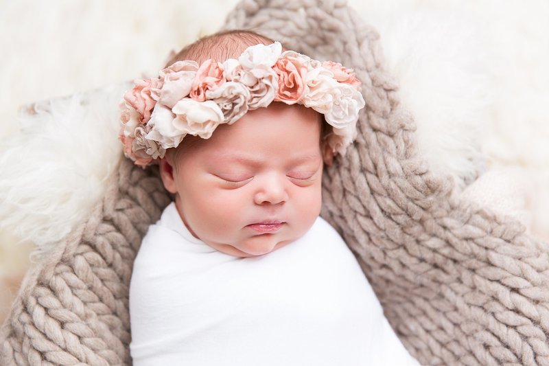 newborn rose flower crown