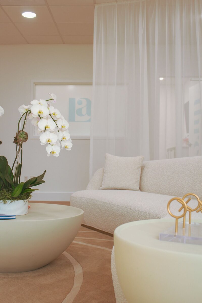 MedSpa Waiting Area With Orchid
