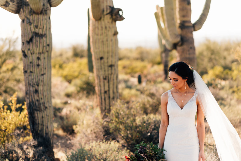 AZ Desert Wedding-10