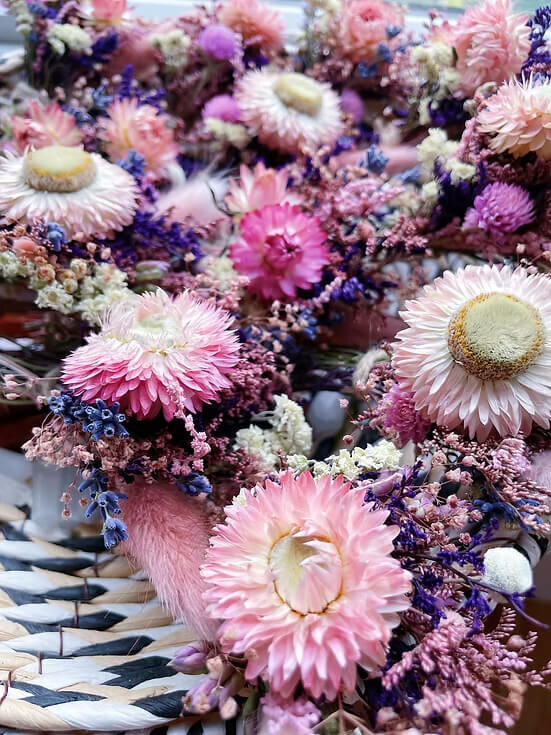 Pink and Blush Dried Strawflowers (1)