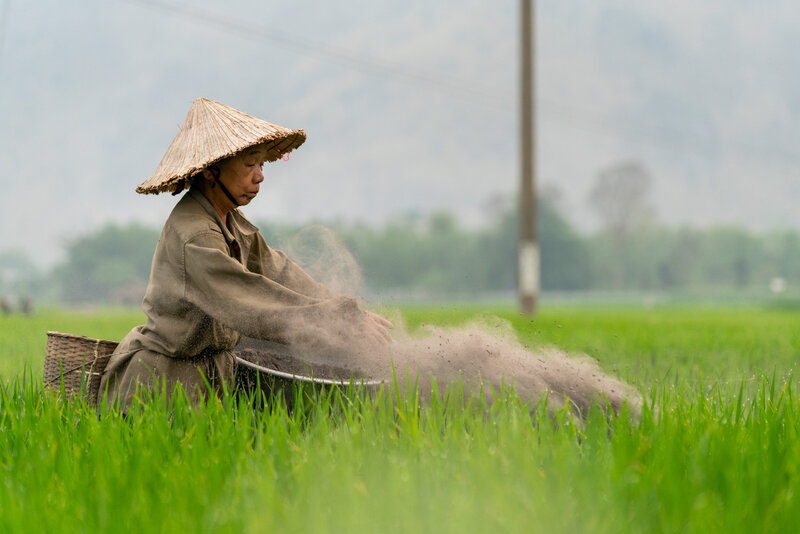 vietnam1