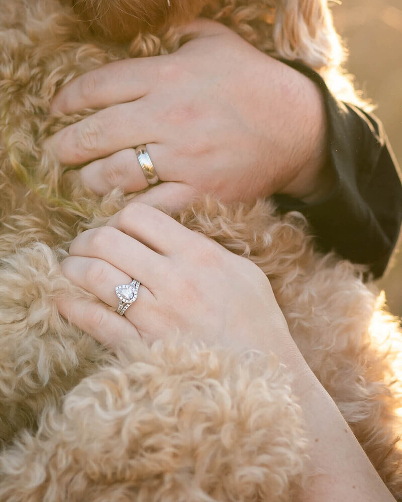 photos of engagement rings on a dog taken by Engagement Photographers Atlanta