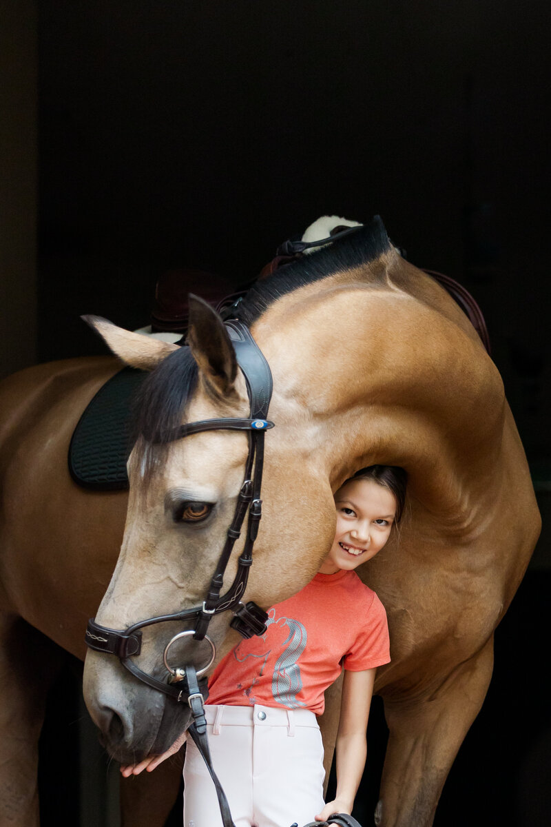 Buckskin horse with girl