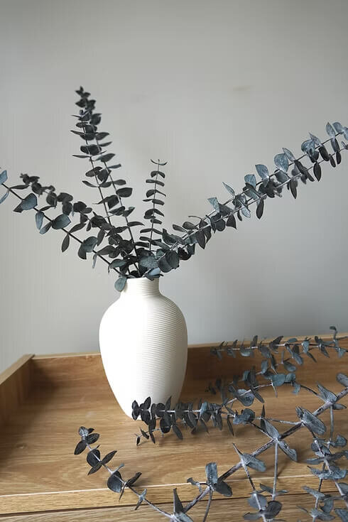 Preserved Eucalyptus Bunch (5)