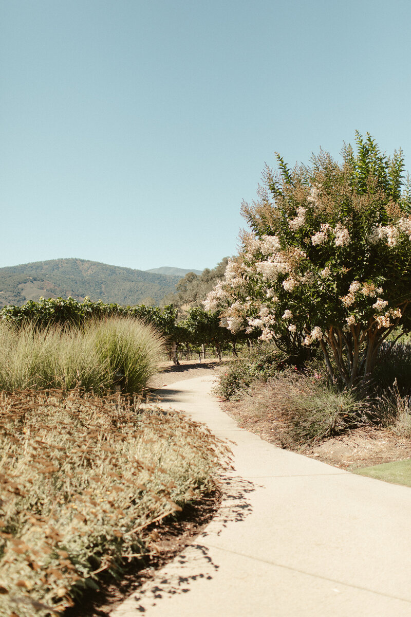 Winding tree-lined path at Carmel Valley wedding venue