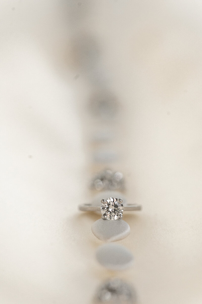 A detail photo of an engagement ring.
