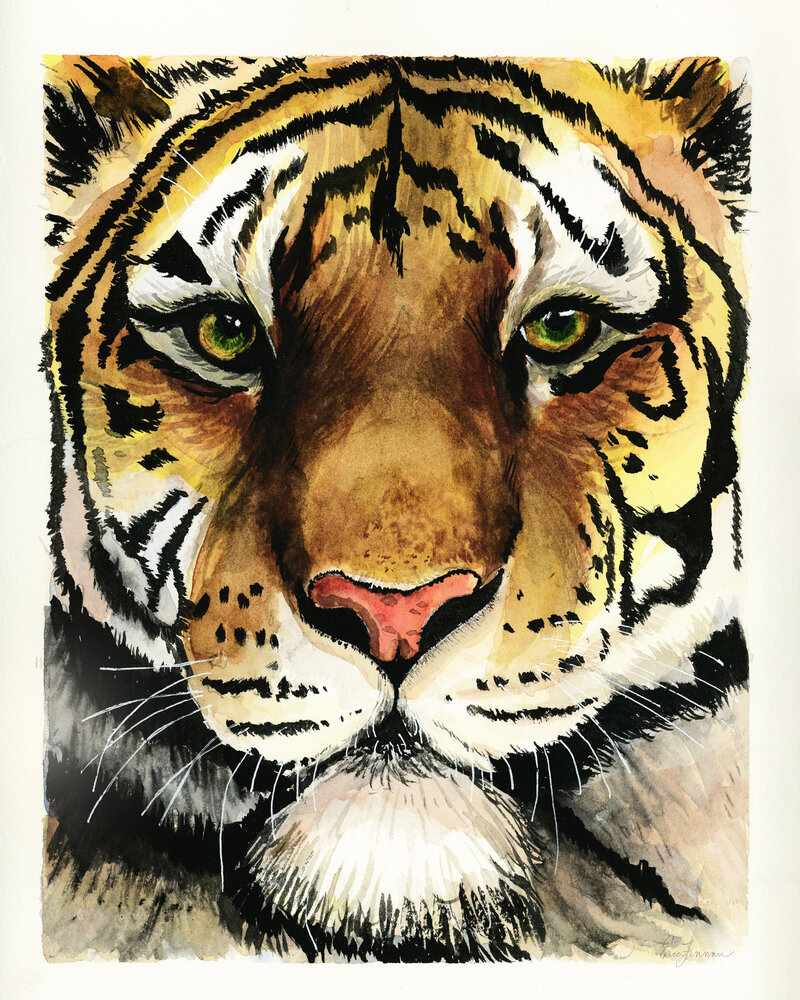 Watercolor painting of a tiger