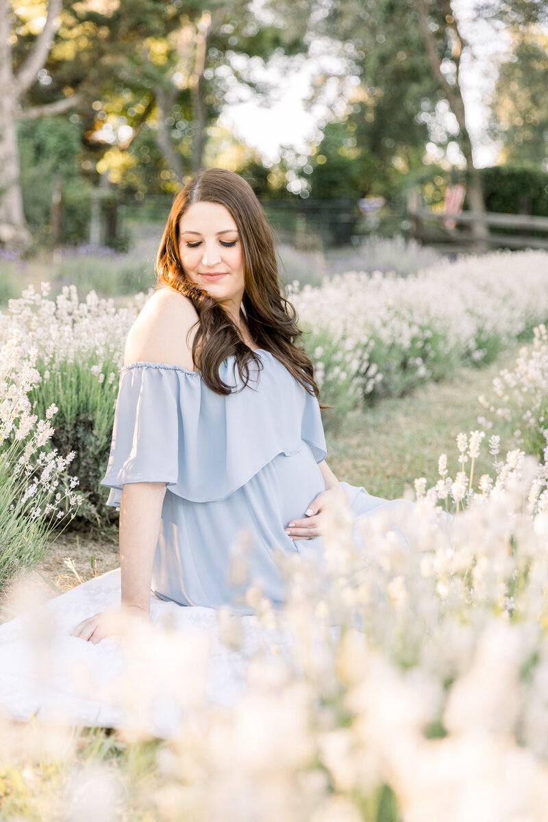expecting mama holding belly sitting in the lavender field taken by Sacramento Newborn Photography Kelsey Krall