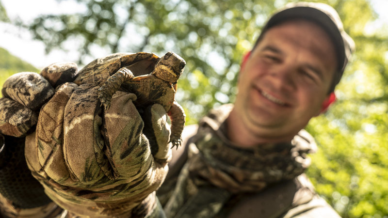 The year of the Box turtle. Filming in Illinois with NWTF and Raven 6 Studios