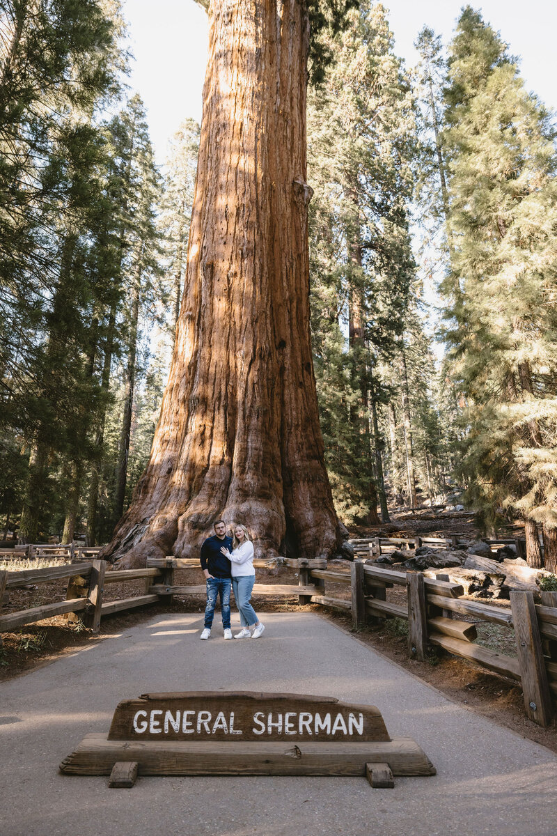Sequoia National Park elopement Photographer3502