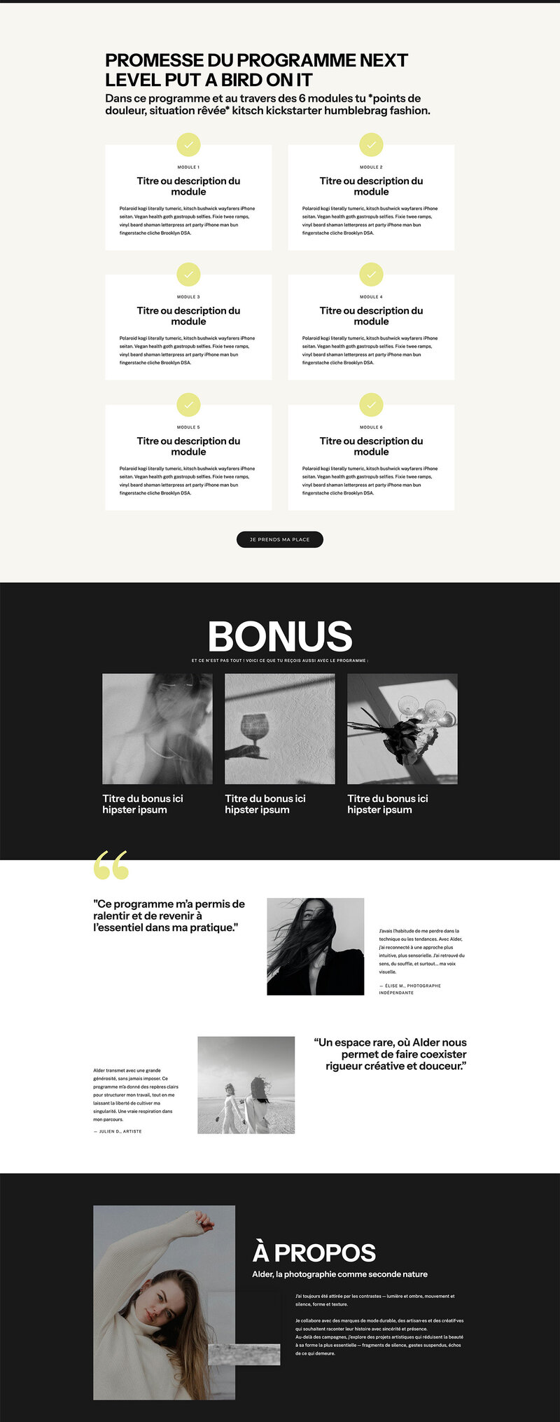 Capture d'écran du template de site Internet Showit Ash