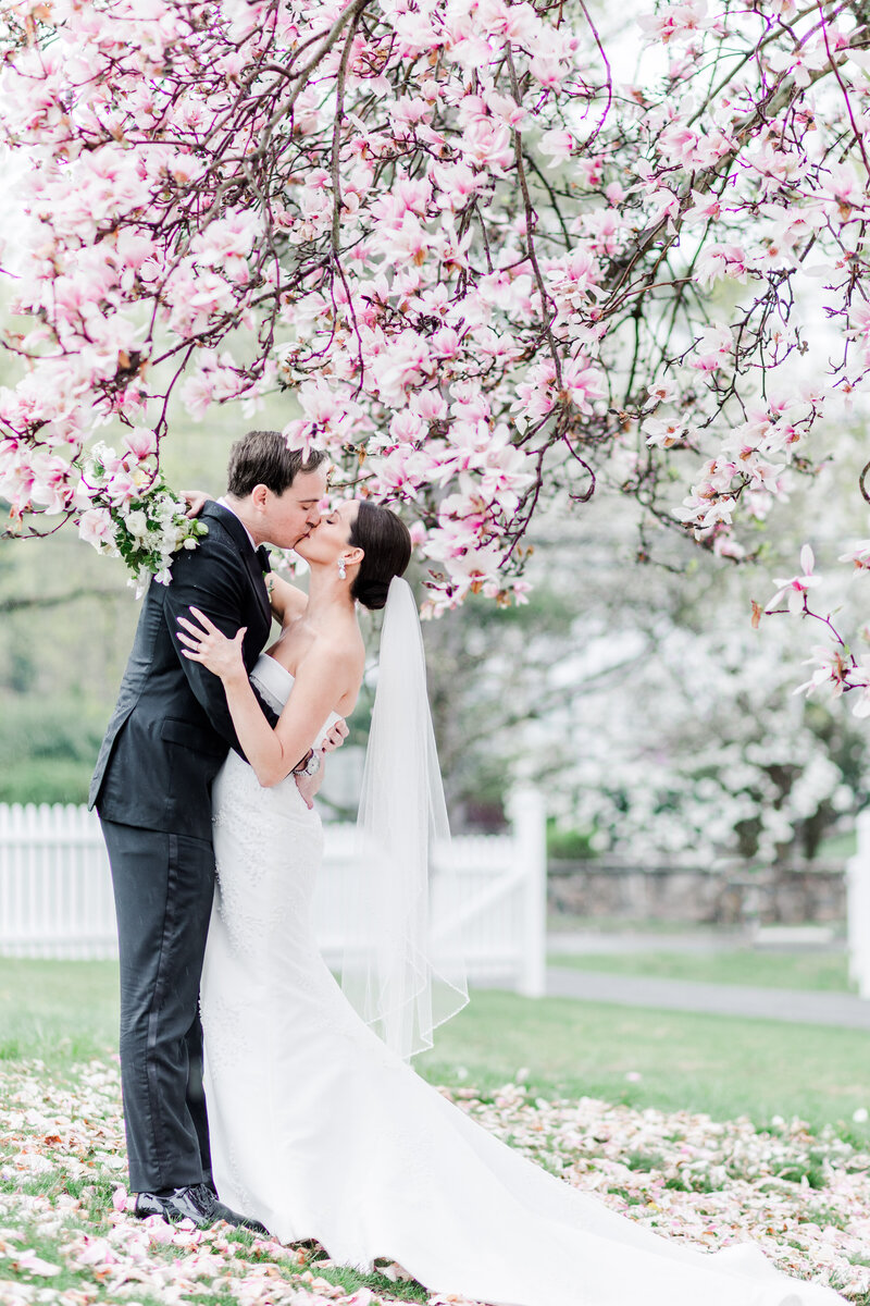 bride and groom kissing under a cherry blossom tree