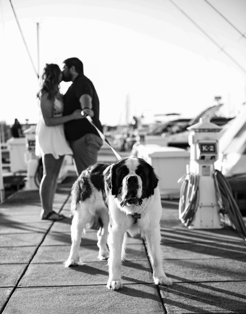 Couple walks theor dog on dock at Erie Yacht Club during engagement photos