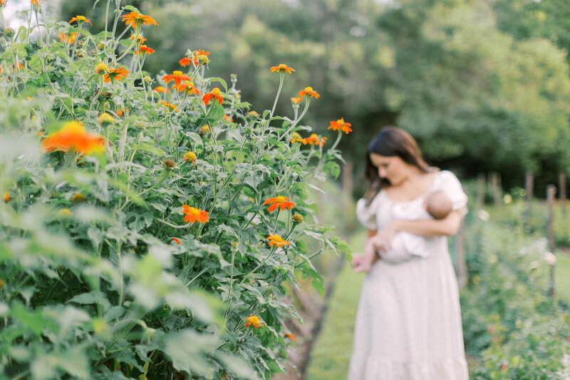 Artistic shot of mother holding her newborn in a flower garden