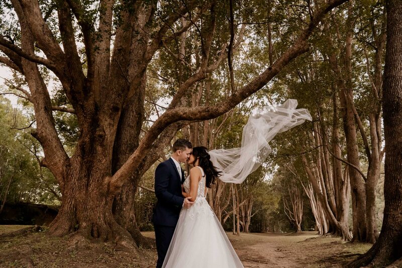 Bride and Groom kissing under the big tree with a flying veil