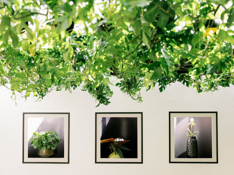 selby-gardens-wedding-julie-sumner-jake-ford-photography-nk-weddings_027