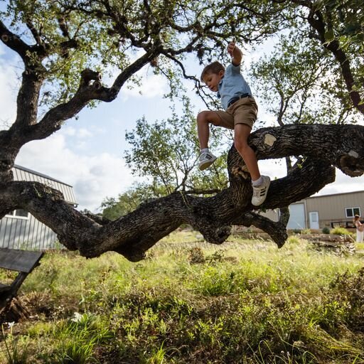 Boy climbing a tree outside