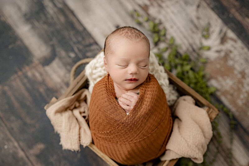 Newborn boy has his hands up by his chin wrapped in a rust colored wrap gently placed in a crate on a wood floor