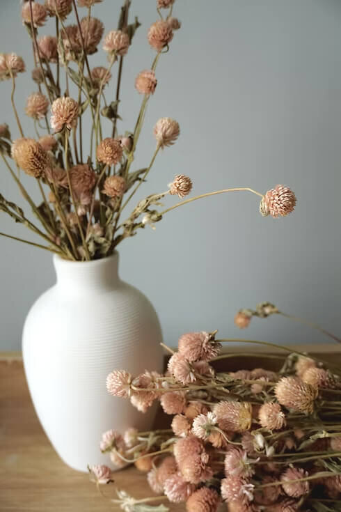 Dried Globe Amaranth Bunch (6)
