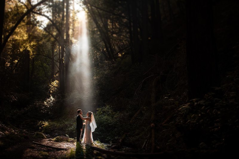 Bride and Groom in forest of California
