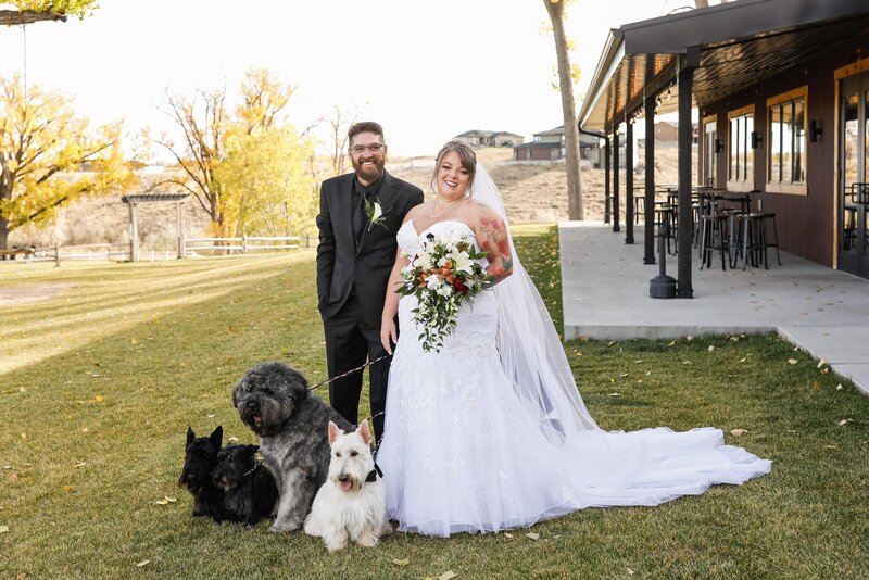 MT-Wedding-Dog-Photographer-007