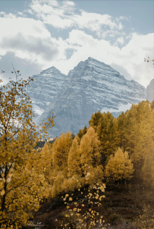 A couple in wedding attire embrace on a swing, set against mountains and cloudy skies—captured by a skilled Ouray Colorado elopement photographer.