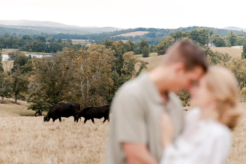 dreamy-picnic-engagement-session-in-delaplane-virginia-00024