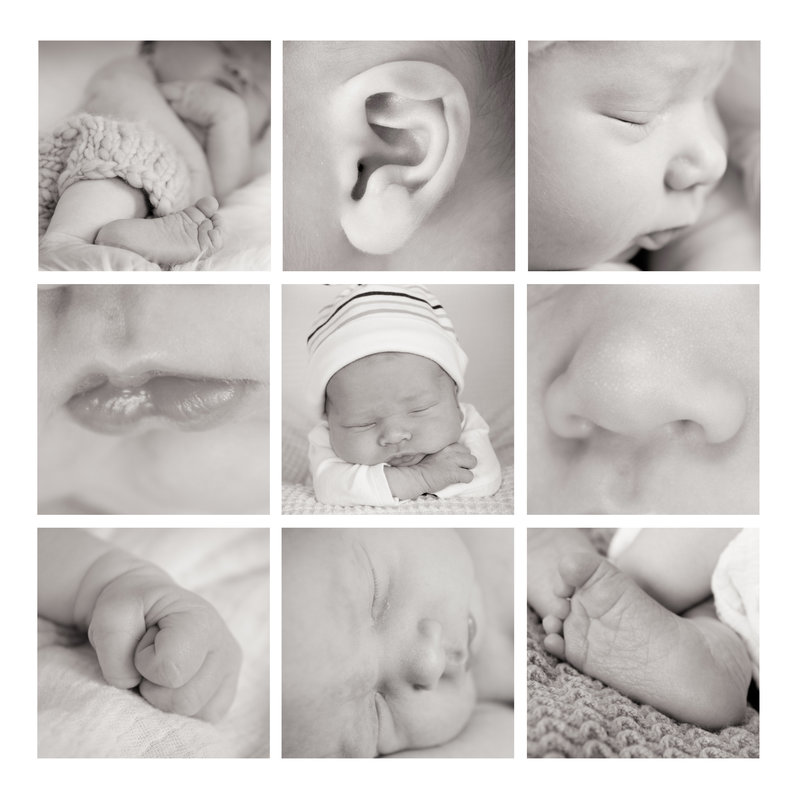 JandDstudio-baby-newborn-infant-studio-blackandwhite-collage