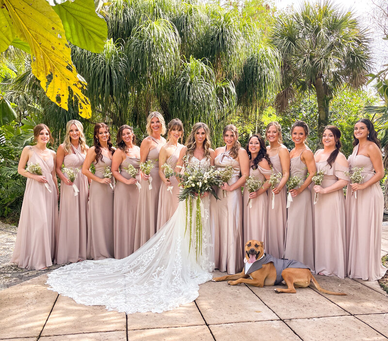 a group of 12 bridesmaids with dressed in a taupe pink with a bride in the middle and the dog of honor with a grey wedding dog tux laying in front of the whole group.