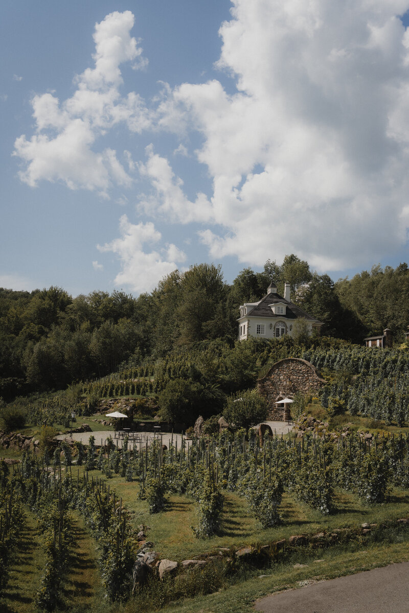 Vue panoramique du Vignoble Château St-Agnès, avec ses rangées de vignes verdoyantes et une élégante bâtisse en pierre, un cadre idyllique pour un mariage en plein air.