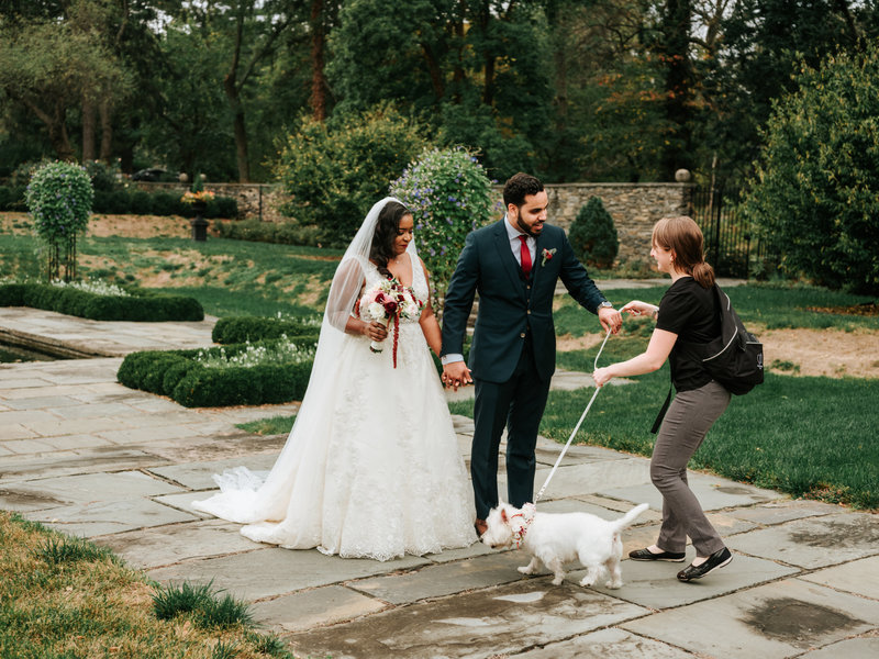 Pawfect for You Pet Care during wedding New York Massachusetts Connecticut New Jersey Pennsylvania Maryland Virginia 40
