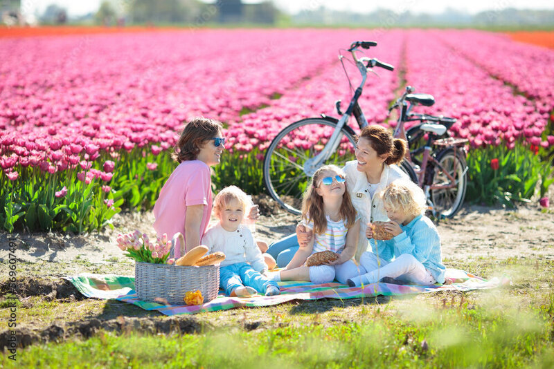 AdobeStock_569607491_Preview