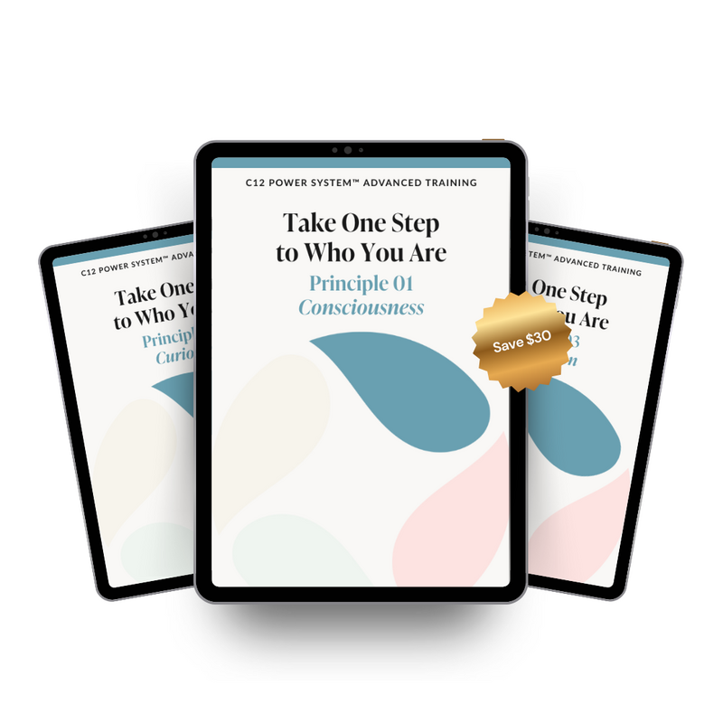 C12 Power System bundle of the 3 principle workbook in Who You Are
