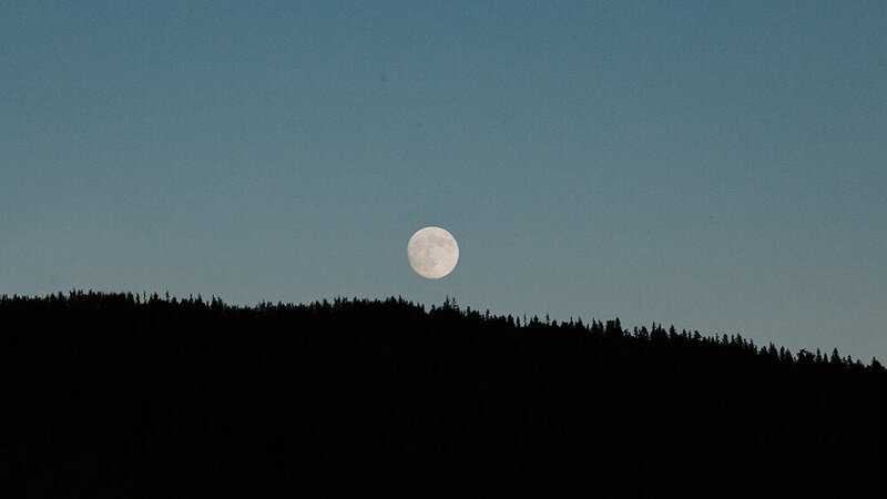 A near-full moon is seen rising over the tree-covered mountains of Seward, Alaska.