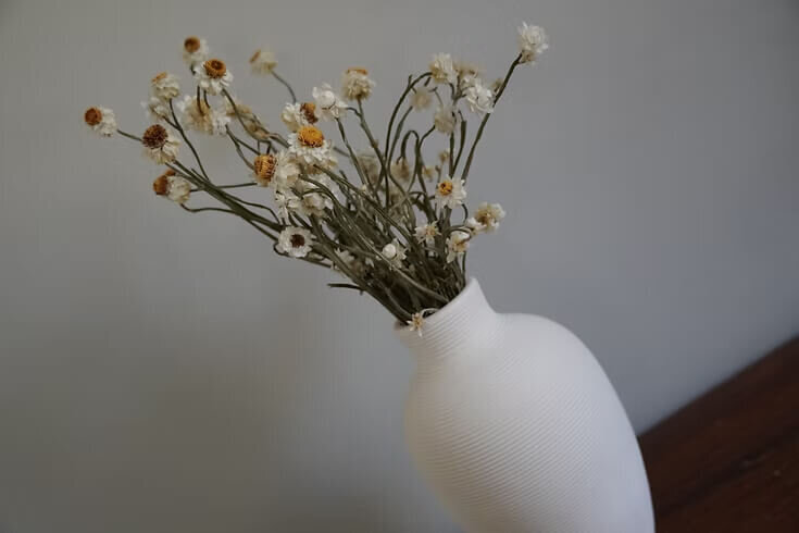 Dried Ammobium Bunch (3)