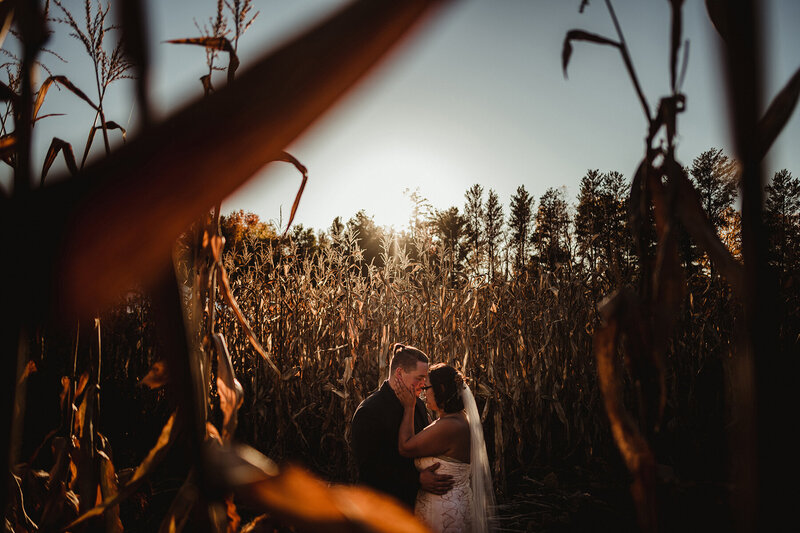 cornfield wedding in Madison, Wisconsin