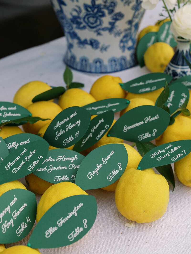 ASHLEYCOXASSOCIATES_SARAH_MAX_WEDDING_0164